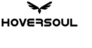 Hoversoul With Wings Device Device mark 6939663 Trademark