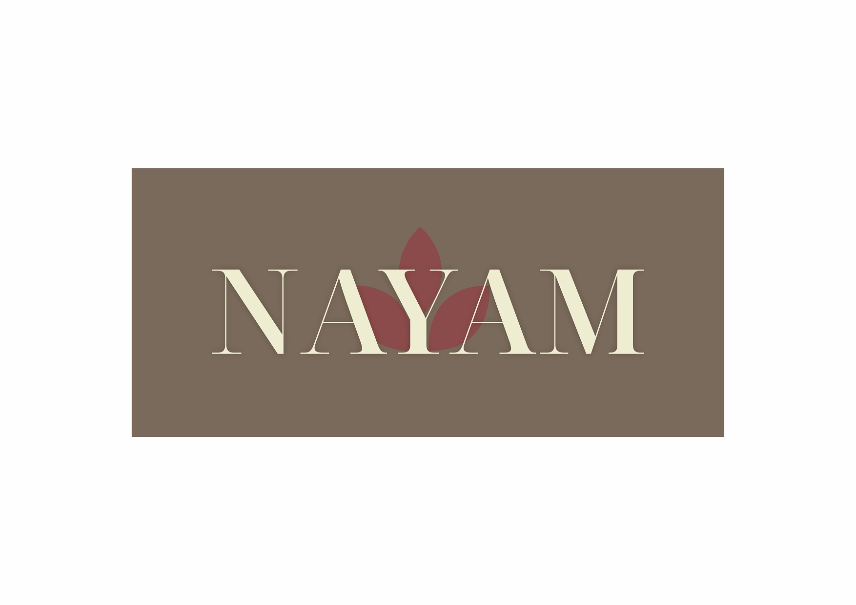 Nayam Device mark 6941333 Trademark
