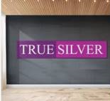 True Silver Device mark 6944245 Trademark