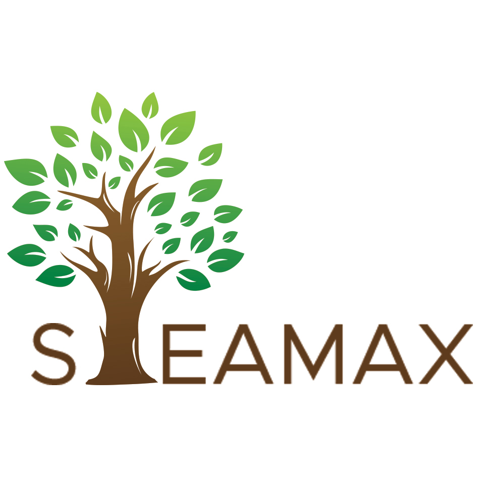 Steamax Envirocare Device mark 6945238 Trademark