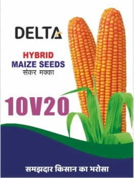 Delta Hybrid Maize Seeds 10v20 Device mark 6946358 Trademark
