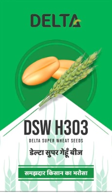 Delta Dsw H303 Device mark 6962025 Trademark