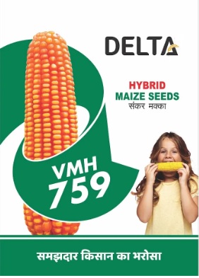 Delta Vmh 759 Device mark 6962029 Trademark