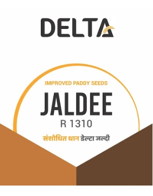 Delta Jaldee R 1310 Device mark 6962027 Trademark