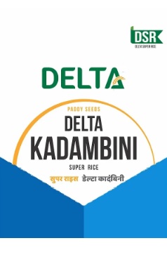 Delta Kadambini Device mark 6962028 Trademark