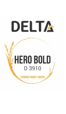 Delta Hero Bold D 3910 Device mark 6962026 Trademark