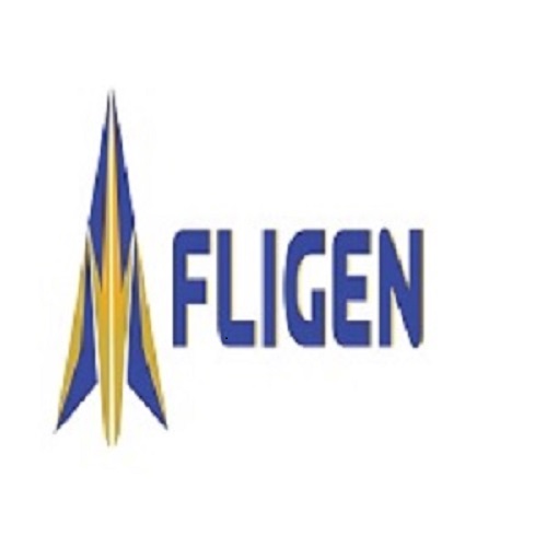 Fligen (logo) Device mark 6963498 Trademark