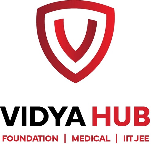 Vidyahub Device mark 6966209 Trademark