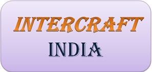 Intercraft India Device mark 6969737 Trademark