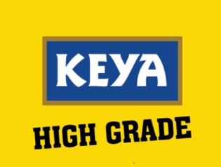 Keya High Grade Device mark 6971170 Trademark