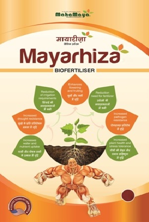 Mayarhiza Device mark 6971910 Trademark