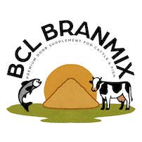 Bcl Branmix Device mark 6974315 Trademark
