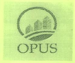 Opus Device mark 6976955 Trademark