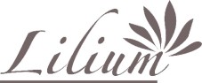 Lilium Device mark 6977175 Trademark