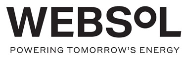 Websol Device mark 6979348 Trademark