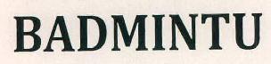Badmintu Device mark 2694793 Trademark