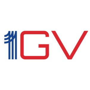 1gv Device Mark Device mark 6998089 Trademark