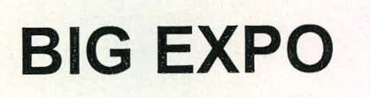 Big Expo Device mark 2228966 Trademark