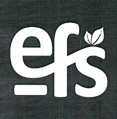 Efs Device mark 7014873 Trademark