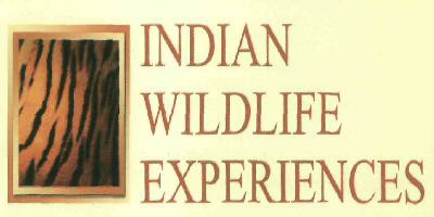 Indian Wildlife Experiences Device mark 2963823 Trademark