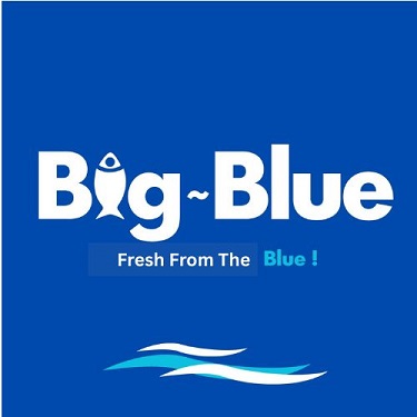 Big Blue Device mark 7017015 Trademark