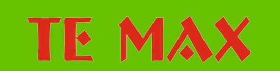 Te Max Device mark 7017318 Trademark