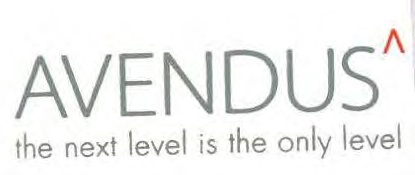 Avendus The Next Level Is The Only Level (device) Device mark 7019446 Trademark