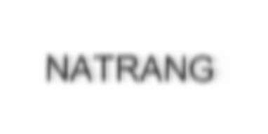Natrang Device mark 2243746 Trademark