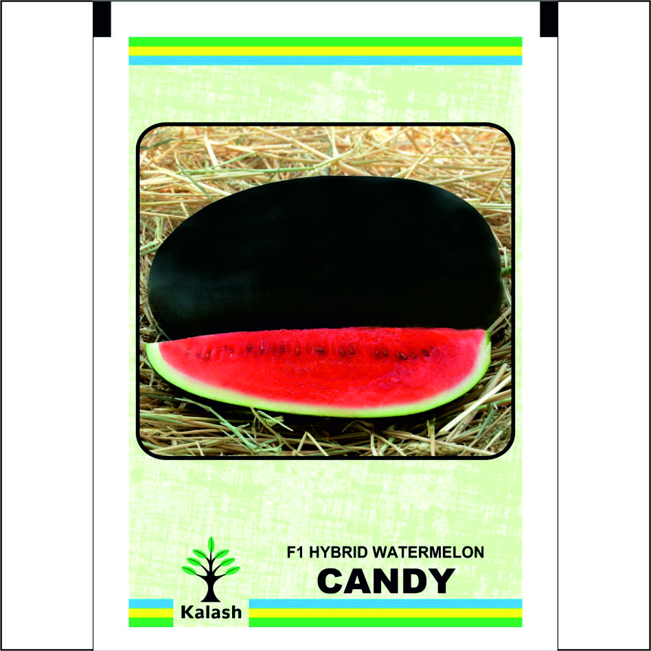 F1 Hybrid Watermelon Candy Device mark 7026276 Trademark