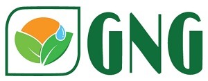 Gng Device mark 7034825 Trademark