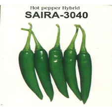 Saira -3040 Hot Pepper Hybrid Device mark 7046325 Trademark