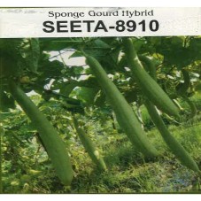 Seeta - 8910 Sponge Gourd Hybrid Device mark 7046341 Trademark
