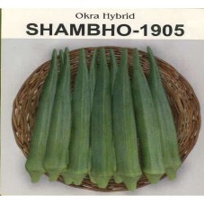 Shambho -1905 Okra Hybrid Device mark 7054175 Trademark