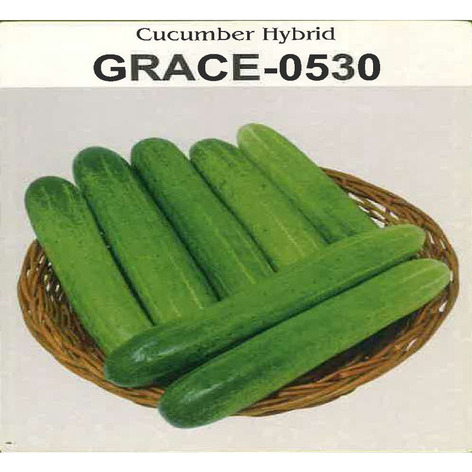 Grace -0530 Cucumber Hybrid Device mark 7054174 Trademark