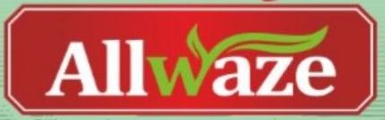 Allwaze Device mark 7060225 Trademark