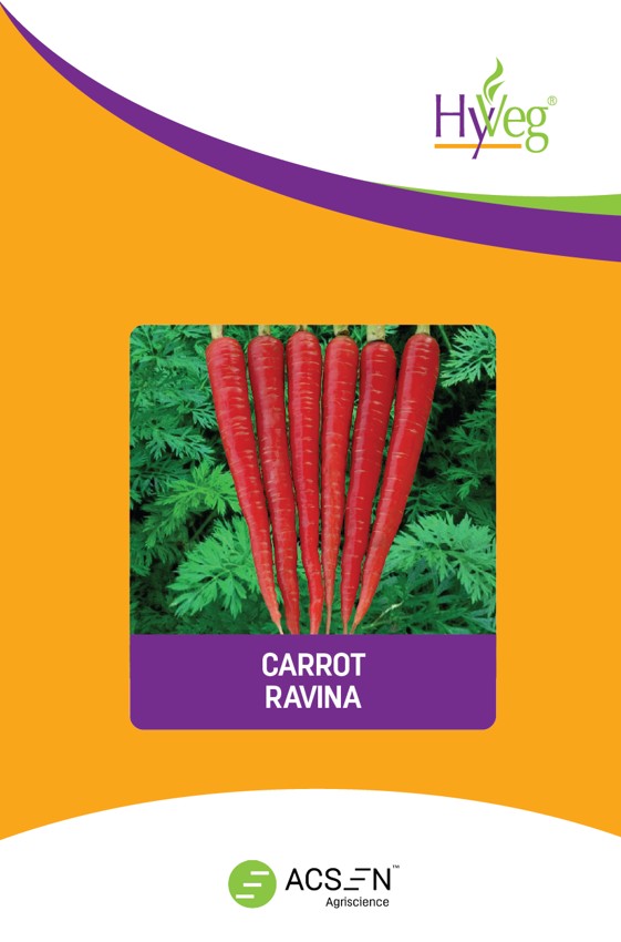 Ravina Device mark 7059900 Trademark