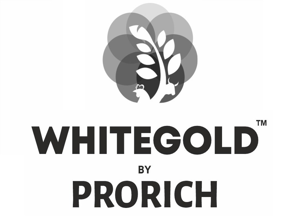 Whitegold By Prorich Device mark 7064291 Trademark