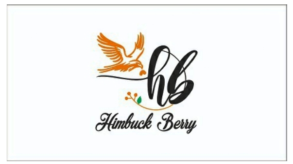 Himbuck Berry Device mark 7064741 Trademark