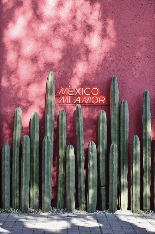México Mi Amor Device mark 7065741 Trademark