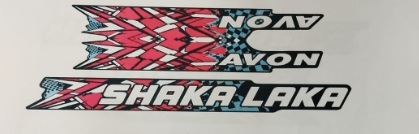 Avon Shaka Laka (device Mark) Device mark 7066819 Trademark