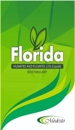 Florida Modesto Device mark 7067286 Trademark