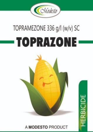 Toprazone Modesto Device mark 7087883 Trademark
