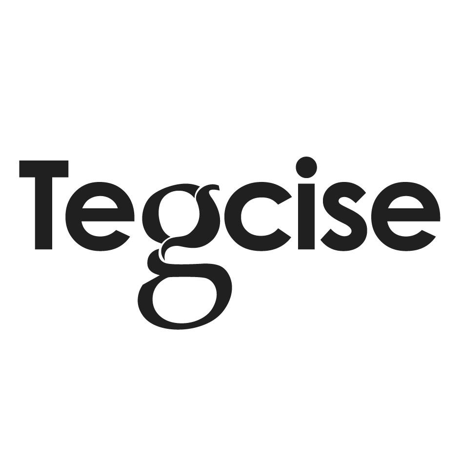 Tegcise Device mark 7091067 Trademark