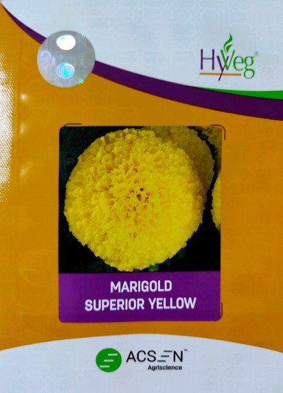 Superior Yellow Device mark 7094629 Trademark