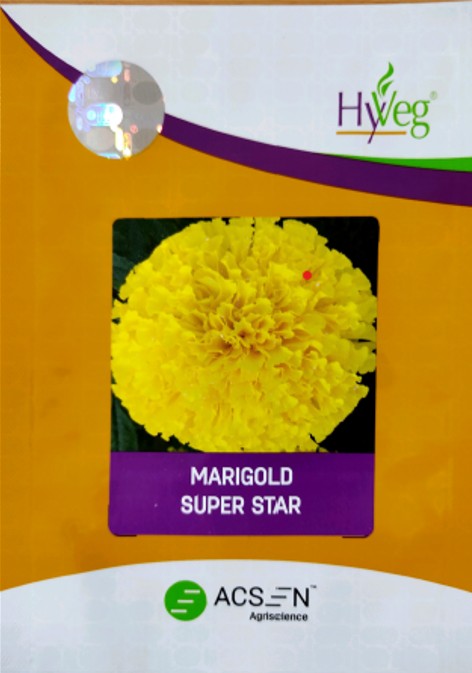 Super Star Device mark 7094630 Trademark