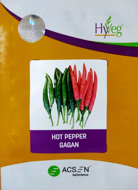 Gagan Device mark 7094640 Trademark
