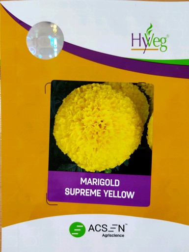 Supreme Yellow Device mark 7094631 Trademark