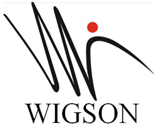 Wigson Device mark 7095030 Trademark