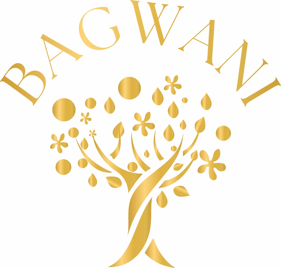 Bagwani Indusrties Private Limited Device mark 7102741 Trademark