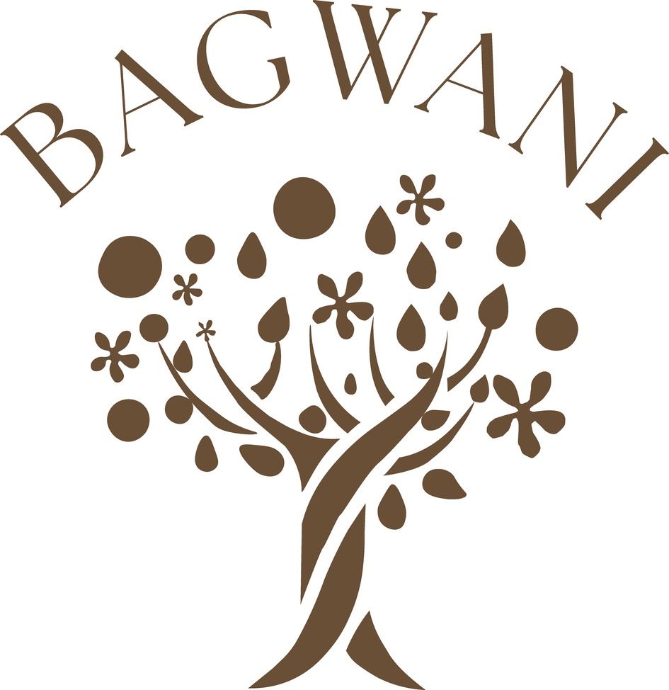 Bagwani Indusrties Private Limited Device mark 7102742 Trademark